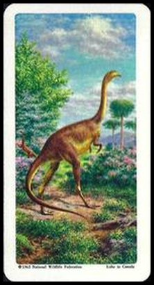 11 Ornithomimus